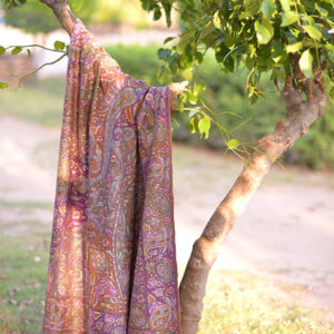pashmina shawl pakistan